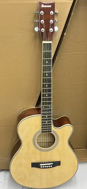 Ibanez Rose Wood Acoustic Guitar (Natural) 40 Inch