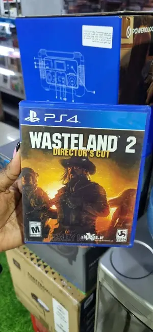 Ps4 Wasteland 2 Directors Cut Preowned