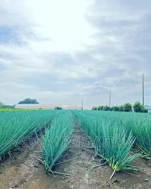 Drip Irrigation on Offer