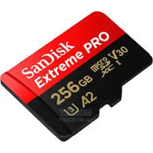 Sandisk Microsd CLASS 10 100MBPS 256GB