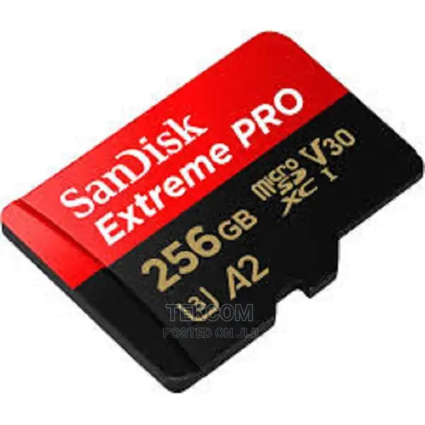 Sandisk Microsd CLASS 10 100MBPS 256GB