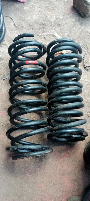 Noah/Voxy New Shape Ex Japans Heavy-Duty Springs
