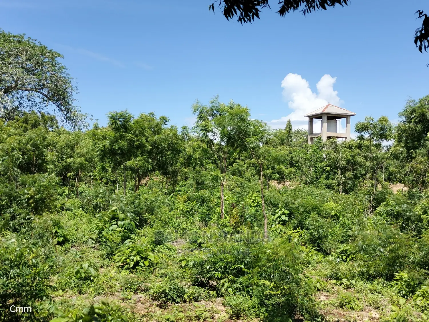 Diani Half Acre Prime Plot