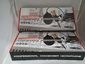 Bm800 Condenser Microphone Professional Voice Recordingmic