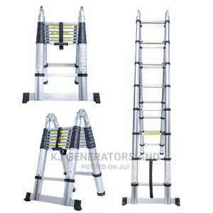 Telescopic Ladder