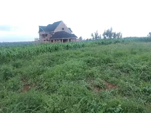 Residential Plots for Sale in Matrofi Estate Tinganga Migaa
