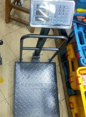Big Base Digital 300kg Weighing Scale