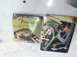 Acoustic Strings With Capo and Pins