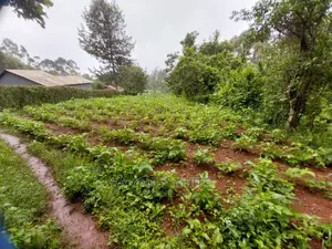 New Month Offer. 1acre Land in Mai-Ihii Gikambura.