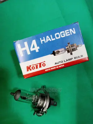 H4 Halogen Bulbs