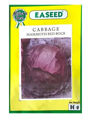 Mammoth Red Rock Cabbage Seeds
