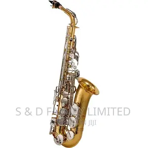 Selmer Advanced Student Saxophone