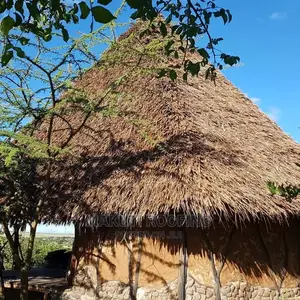 Coastal Makuti Roofing Construction