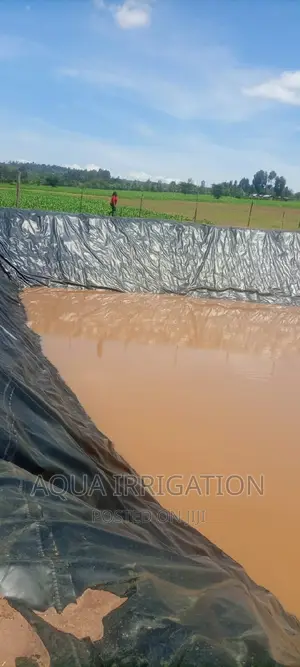 Fish Pond/ Pondliners Damliners