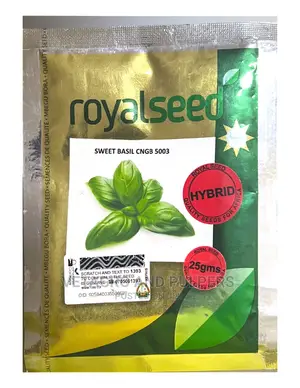 Royal Sweet Basil CNGB 5003 Hybrid
