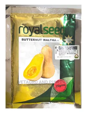 Royal Butternut Waltham (Pumpkin)