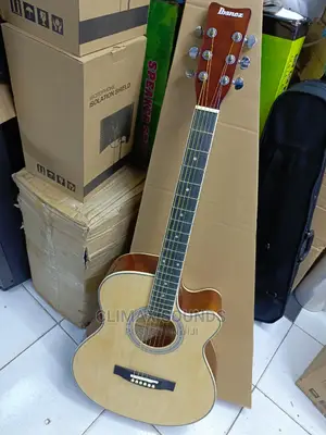 Acoustic Guitar Size 40 Inc