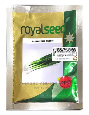 Bunching Onion/Spring Onion