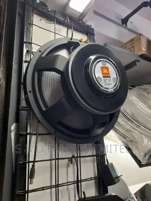 JBL 15 Inch 2226H Naked Speaker