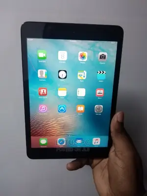 Apple iPad Mini Wi-Fi + Cellular 32 GB Gray