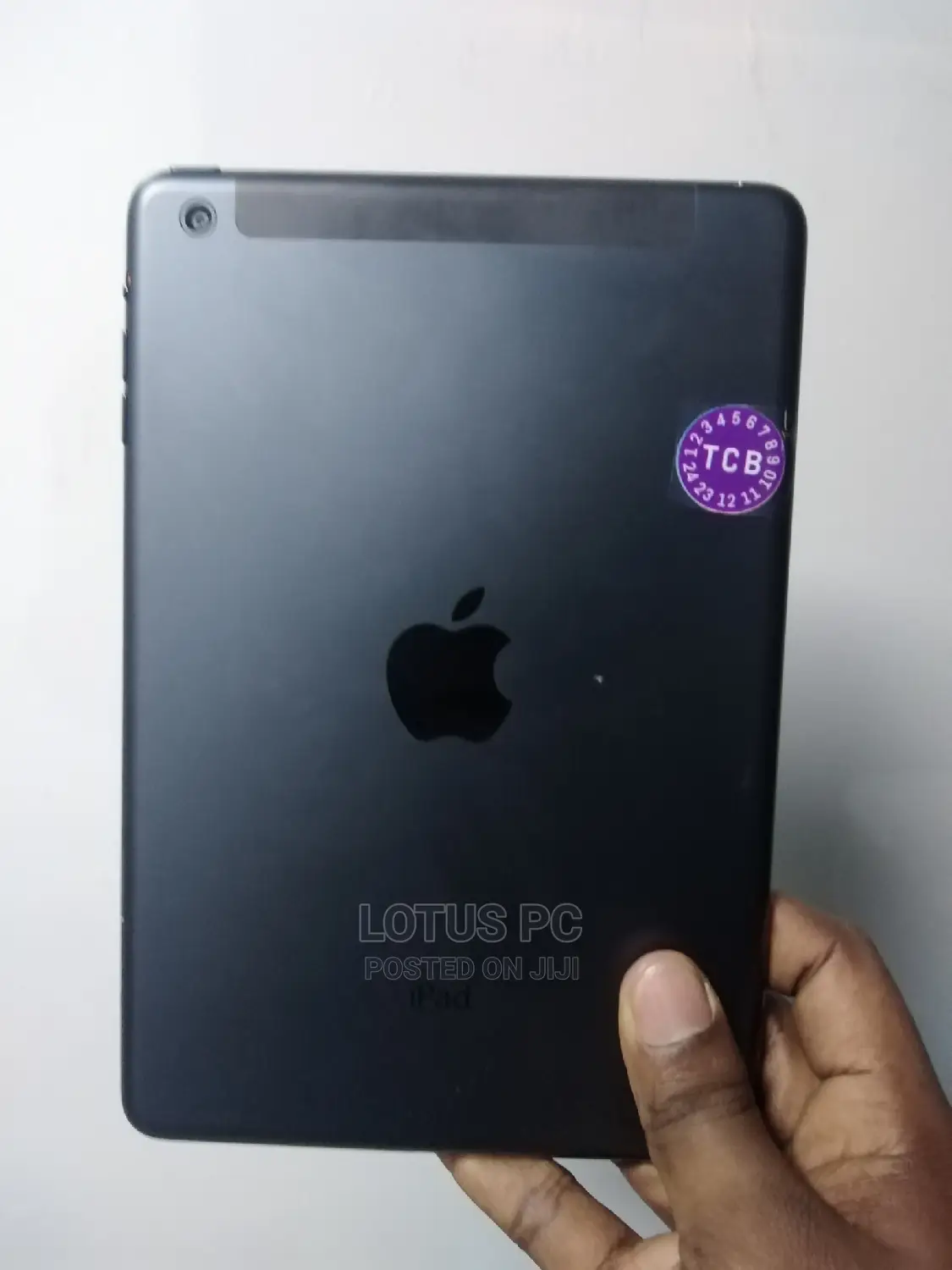 Apple iPad Mini Wi-Fi + Cellular 32 GB Gray