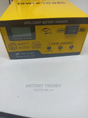 BOLAIMEI BLM-168 12v/24v Car Battery Charger