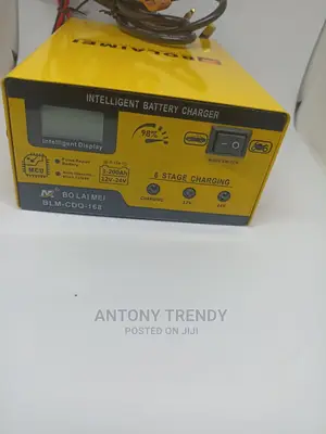 Pulse Repair Storage Cell AUTO Batterie 12v/24v Car Battery