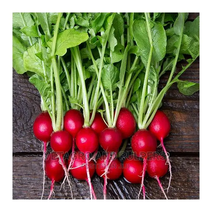Radish Cherry Belle 10gm Seeds