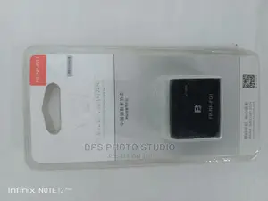 Fb-Np-Fg1 Battery
