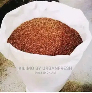 Sumac Sorghum Seeds Highbreed for Silage 5kgs