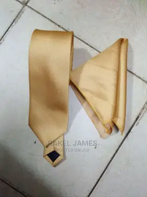 Ties With Pocket Square