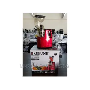 Rebune Slow Juicer ,DC Motor 2 Outlet for Juice Pulp
