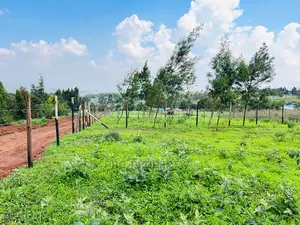 Prime 1/8 Acre Residential Plots for Sale in Kikuyu, Kamangu