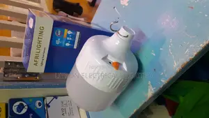 Rechargeable Bulbs 40W
