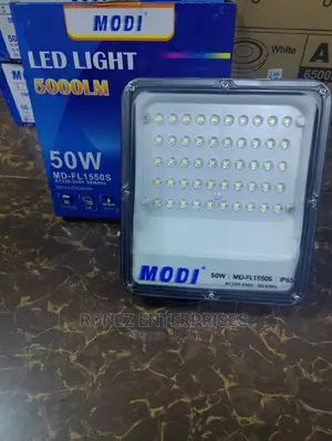 Ac Floodlight 50 WLTS