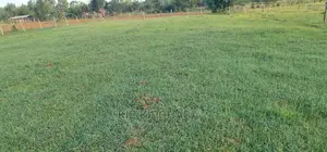 8 Plots for Sale in Simat Kipkenyo in Eldoret