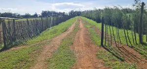 1⁄4 Plots for Sale in Marura After Kimumu Eldoret