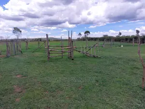 Prime 50x100 Plots in Nyandarua, Kasuku