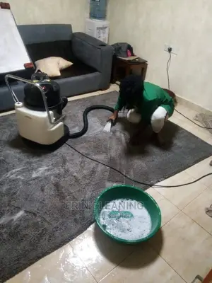 Deep Sofa and Carpet Cleaning