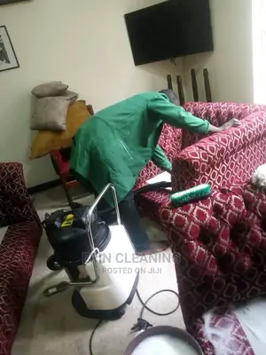 Professional Sofa Cleaning for Homes