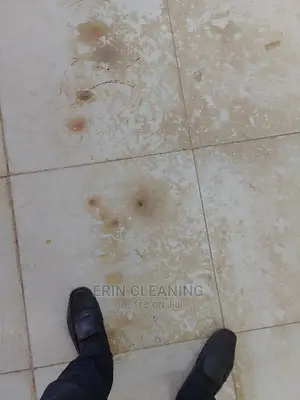 Floor Deep Cleaning and Scrubbing