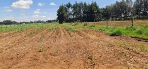 1 Acre for Sale in Marura After Kimumu in Eldore