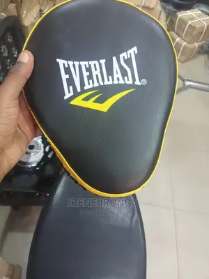 Everlast Boxing Pads