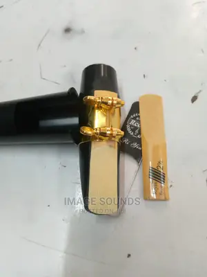Saxaphone Mouthpiece Plus Reed