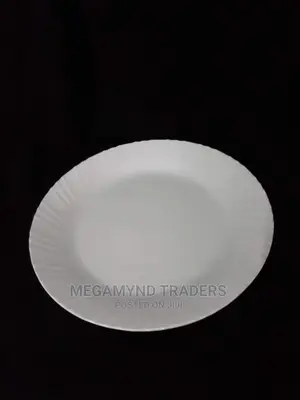 Melamine Plate/12pc Catering Plates