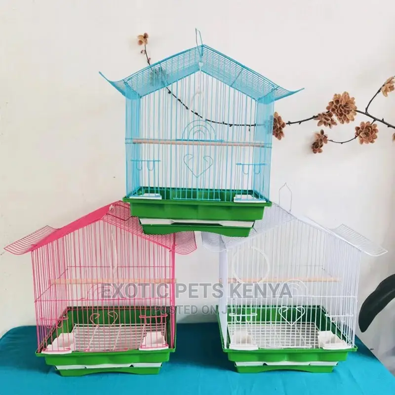 Budgie and Lovebird Cages