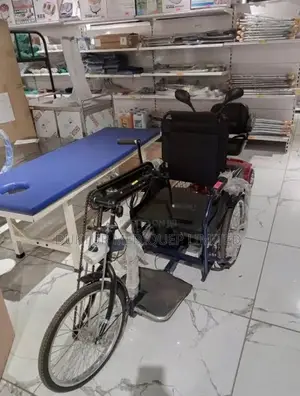 Imported Manual Tricycle Wheelchair