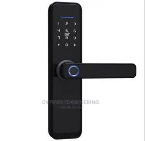 Advanced Biometric Smart Locks for Enhanced Protection