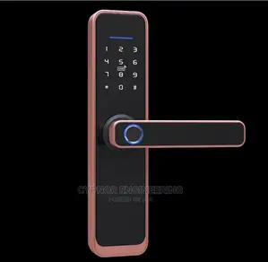 Futuristic Biometric Smart Locks for Ultimate Security