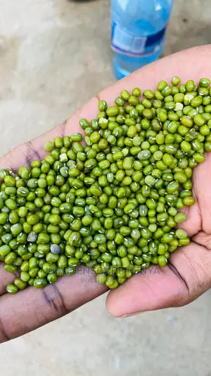 Mung Beans Per Kg.